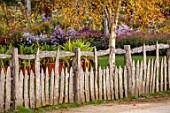 ASTON POTTERY, OXFORDSHIRE: WOODEN FENCES, BIRCH, BORDERS, LATE SUMMER, AUTUMN, FENCING