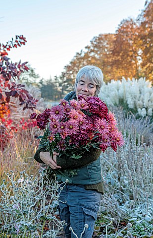 GREEN_AND_GORGEOUS_FLOWERS_OXFORDSHIRE_RACHEL_SIEGFRIED_HOLDING_FRESHLY_PICKED_CHRYSANTHEMUMS_ON_A_F