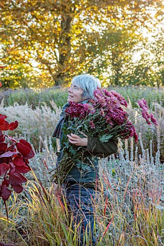GREEN_AND_GORGEOUS_FLOWERS_OXFORDSHIRE_RACHEL_SIEGFRIED_HOLDING_FRESHLY_PICKED_CHRYSANTHEMUMS_ON_A_F