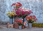 GREEN AND GORGEOUS FLOWERS, OXFORDSHIRE: ARRANGEMENT OF CHRYSANTHEMUMS BESIDE WALL, AUTUMN, FALL, OCTOBER, FLOWERS, BLOOMS. STYLING BY RACHEL SIEGFRIED