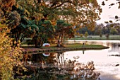 SPETCHLEY PARK GARDENS, WORCESTERSHIRE: VIEW OF THE LAKE, AUTUMN, FALL, OCTOBER, EVENING LIGHT