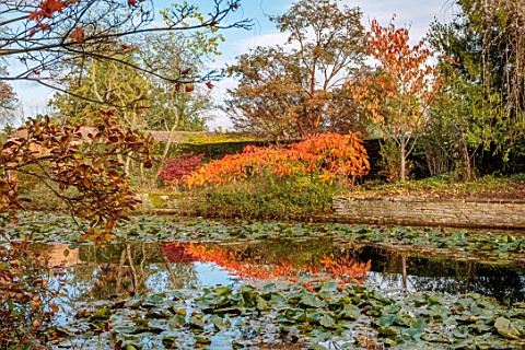 SPETCHLEY_PARK_GARDENS_WORCESTERSHIRE_POOL_POND_AUTUMN_FALL_FOLIAGE_LEAVES_REFLECTIONS_REFLECTED_RHU