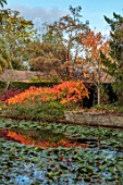 SPETCHLEY PARK GARDENS, WORCESTERSHIRE: POOL, POND, AUTUMN, FALL, FOLIAGE, LEAVES, REFLECTIONS, REFLECTED, RHUS TYPHINA RADIANCE SINRUS, WATERLILIES