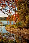SPETCHLEY PARK GARDENS, WORCESTERSHIRE: LAKE, AUTUMN, SUNSET, FALL, FOLIAGE, LEAVES, OCTOBER, TAXODIUM DISTICHUM, SWAMP CYPRESS, CONIFERS, PRUNUS X YEDOENSIS PERPENDENS