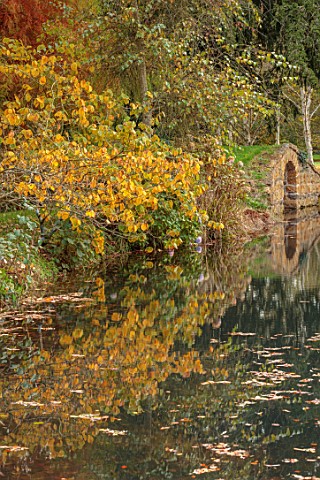 THENFORD_GARDENS__ARBORETUM_NORTHAMPTONSHIRE_AUTUMN_OCTOBER_WATER_POOL_POND_FALL_FOLIAGE_LAKE_WITCH_