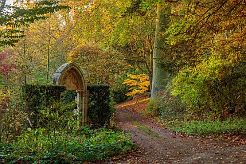 THENFORD_GARDENS__ARBORETUM_NORTHAMPTONSHIRE_AUTUMN_OCTOBER_FALL_PATH_BESIDE_ARCH_IN_ARBORETUM_ACER_
