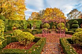 THENFORD GARDENS & ARBORETUM, NORTHAMPTONSHIRE: AUTUMN, OCTOBER, HEDGES, HEDGING, PINK, PERGOLA, ARCH, KNOT GARDEN, HOLLIES, ILEX, BOX, PATHS, CLIPPED, TOPIARY