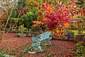 THENFORD GARDENS & ARBORETUM, NORTHAMPTONSHIRE: AUTUMN, OCTOBER, MAPLES, SEAT IN THE TROUGH GARDEN, RED, LEAVES, FOLIAGE