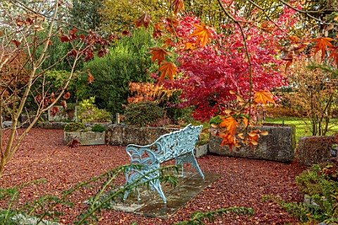 THENFORD_GARDENS__ARBORETUM_NORTHAMPTONSHIRE_AUTUMN_OCTOBER_MAPLES_SEAT_IN_THE_TROUGH_GARDEN_RED_LEA
