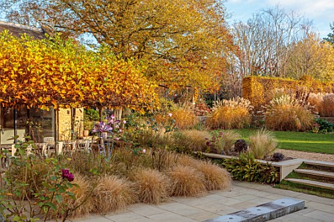 THE_OLD_RECTORY_QUINTON_NORTHAMPTONSHIRE_DESIGNER_ANOUSHKA_FEILER_GRASSES_PATIO_CANOPY_OF_PLANE_TREE