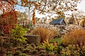THE OLD RECTORY, QUINTON, NORTHAMPTONSHIRE: DESIGNER ANOUSHKA FEILER: GRASSES, AUTUMN, FALL, BEECH, HEDGE, HEDGING, LAWN, SUMMER HOUSE, WALLS, HYDRANGEA QUERCIFOLIA