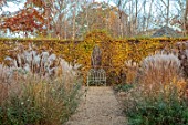 THE OLD RECTORY, QUINTON, NORTHAMPTONSHIRE: DESIGNER ANOUSHKA FEILER: GRASSES, AUTUMN, FALL, BEECH, HEDGE, HEDGING, PERENNIALS, WHITE METAL SEAT, BENCH, PATHS