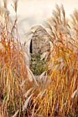 THE OLD RECTORY, QUINTON, NORTHAMPTONSHIRE: DESIGNER ANOUSHKA FEILER: WINDOW IN WALL, MISCANTHUS SINENSIS KLEINE FONTAINE, PATIOS, GRASSES, AUTUMN, FALL