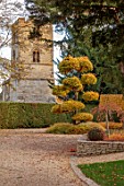 THE OLD RECTORY, QUINTON, NORTHAMPTONSHIRE: DESIGNER ANOUSHKA FEILER: AUTUMN, FALL, FRONT DRIVE, QUINTON CHURCH, CLIPPED TOPIARY PARROTIA PERSICA, PERSIAN IRONWOOD