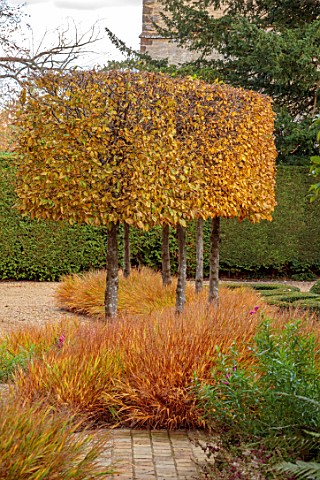 THE_OLD_RECTORY_QUINTON_NORTHAMPTONSHIRE_DESIGNER_ANOUSHKA_FEILER_AUTUMN_FALL_FRONT_DRIVE_CLIPPED_TO