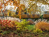 THE OLD RECTORY, QUINTON, NORTHAMPTONSHIRE: DESIGNER ANOUSHKA FEILER: GRASSES, AUTUMN, FALL, BEECH, HEDGE, HEDGING, LAWN, HYDRANGEA QUERCIFOLIA, CLIPPED TOPIARY HORNBEAM