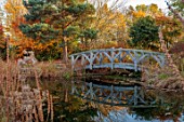 THE OLD RECTORY, QUINTON, NORTHAMPTONSHIRE: DESIGNER ANOUSHKA FEILER: AUTUMN, FALL, JAPANESE MAPLES, ACER, WOODEN BRIDGE, PATHS, PINE, WATER, POND, POOL