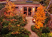 SMALL LONDON GARDEN DESIGNED BY ALASDAIR CAMERON: NOVEMBER, WOODLAND, TREES, PARROTIA PERSICA, PERSIAN IRONWOOD TREE, NIGHT, LIGHTING, SHED, PATH, BARBEQUE, BBQ, FIRE, FALL, AUTUMN