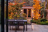SMALL LONDON GARDEN DESIGNED BY ALASDAIR CAMERON: NOVEMBER, WOODLAND, TREES, PARROTIA PERSICA, PERSIAN IRONWOOD TREE, NIGHT, LIGHTING, SHED, PATH, BARBEQUE, BBQ, FIRE, FALL, AUTUMN