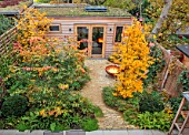 SMALL LONDON GARDEN DESIGNED BY ALASDAIR CAMERON: NOVEMBER, WOODLAND, TREES, PARROTIA PERSICA, PERSIAN IRONWOOD TREE, SHED, PATH, BARBEQUE, BBQ, FIRE, FALL, AUTUMN