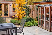 SMALL LONDON GARDEN DESIGNED BY ALASDAIR CAMERON: NOVEMBER, WOODLAND, TREES, PARROTIA PERSICA, PERSIAN IRONWOOD TREE, SHED, PATH, BARBEQUE, BBQ, FIRE, FALL, AUTUMN, TABLE, PATIO