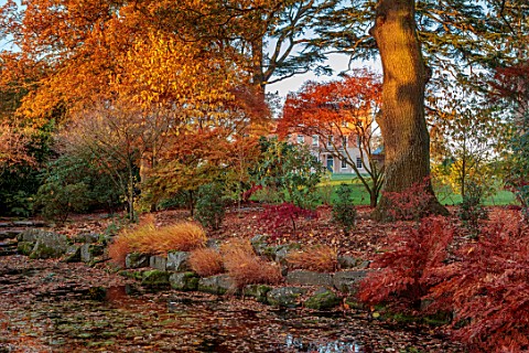 MORTON_HALL_WORCESTERSHIRE_AUTUMN_FALL_STROLL_GARDEN_LOWER_POND_POOL_WATER_REFLECTIONS_HAKONECHLOA_M