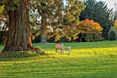 MORTON HALL, WORCESTERSHIRE: FALL, AUTUMN, TREES, BENCH, SEAT, MAPLES, LAWN, PARKLAND