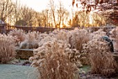 THE OLD RECTORY, QUINTON, NORTHAMPTONSHIRE: DESIGNER ANOUSHKA FEILER: GRASSES, FROST, WINTER, FROSTY GARDEN, ENGLISH, COUNTRY, JANUARY, MISCANTHUS KLEINE SILBERSPINNE