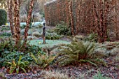 THE OLD RECTORY, QUINTON, NORTHAMPTONSHIRE: DESIGNER ANOUSHKA FEILER: FERNS, FROST, WINTER, GARDEN, ENGLISH, COUNTRY, JANUARY, SCULPTURE, BIRCHES, HEDGES, HEDGING, LAWN