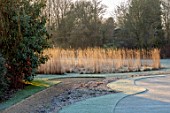THE OLD RECTORY, QUINTON, NORTHAMPTONSHIRE: DESIGNER ANOUSHKA FEILER: FROST, WINTER, JANUARY, MAZE OF CALAMAGROSTIS X ACUTIFLORA KARL FOERSTER, LAWN, GRASSES