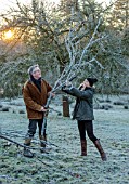 THE HYDE, HEREFORDSHIRE: WINTER, FROST, JANUARY, SHANE CONNOLLY AND LILY MATILDA GATHERING, CUTTING WOOD IN MISTLETOE WOOD