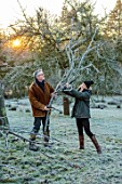 THE HYDE, HEREFORDSHIRE: WINTER, FROST, JANUARY, SHANE CONNOLLY AND LILY MATILDA GATHERING, CUTTING WOOD IN MISTLETOE WOOD