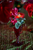 THE HYDE, HEREFORDSHIRE: JANUARY, TABLE DECORATION BY SHANE CONNOLLY, CYCLAMEN IN RED GOBLET