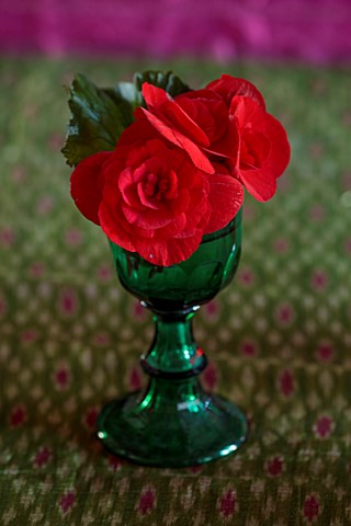 THE_HYDE_HEREFORDSHIRE_JANUARY_TABLE_DECORATION_BY_SHANE_CONNOLLY_RED_BEGONIA_IN_GREEN_GOBLET