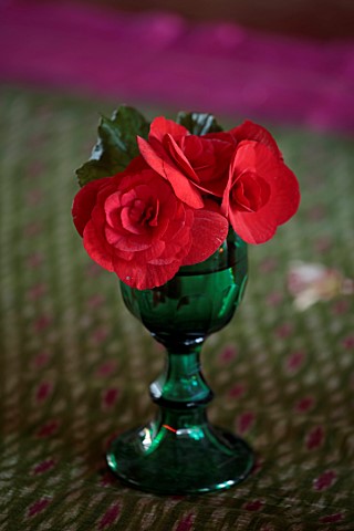 THE_HYDE_HEREFORDSHIRE_JANUARY_TABLE_DECORATION_BY_SHANE_CONNOLLY_RED_BEGONIA_IN_GREEN_GOBLET