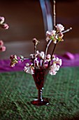 THE HYDE, HEREFORDSHIRE: JANUARY, TABLE DECORATION BY SHANE CONNOLLY, VIBURNUM BODNANTENSE DAWN IN RED GOBLET