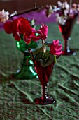 THE HYDE, HEREFORDSHIRE: JANUARY, TABLE DECORATION BY SHANE CONNOLLY, PINK CYCLEMEN IN RED GOBLET
