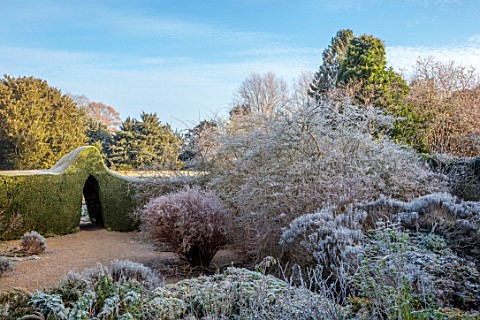 ROUSHAM_OXFORDSHIRE_JANUARY_WINTER_THE_WALLED_VEGETABLE_GARDEN_ENTRANCE_YEW_HEDGES_HEDGING_COTINUS