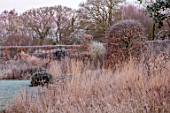 SILVER STREET FARM, DEVON: WINTER, FROST, FROSTY, JANUARY, BORDER, CLIPPED BEECH, GRASSES, MOLINIA HEIDEBRAUT, HEDGES, HEDGING, CLIPPED YEW