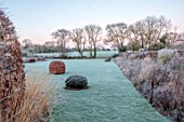 SILVER STREET FARM, DEVON: WINTER, FROST, FROSTY, JANUARY, BORDER, LAWN, VERBASCUM, HEDGES, HEDGING, PERENNIALS, YEW DOMES, CLIPPED BEECH
