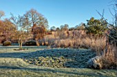 SILVER STREET FARM, DEVON: WINTER, FROST, FROSTY, JANUARY, BORDER, CLIPPED BEECH, GRASSES, MOLINIA HEIDEBRAUT, CLIPPED YEW, CAMOMILE MOUND