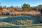 SILVER STREET FARM, DEVON: WINTER, FROST, FROSTY, JANUARY, BORDER, CLIPPED BEECH, GRASSES, MOLINIA HEIDEBRAUT, CLIPPED YEW, CAMOMILE MOUND