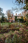 MOSS AND STONE FLORAL DESIGN, SUFFOLK: BRIGITTE GIRLING: FROSTY LAWN, BORDERS, WINTER, LUNARIA ANNUA, ANNUAL HONESTY, SEEDPODS
