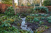 YORK GATE, LEEDS: STREAM, SNOWDROPS, GALANTHUS, THE DELL, WINTER, STREAM, PATHS, HEDGES, HEDGING