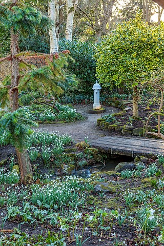 YORK_GATE_LEEDS_STREAM_SNOWDROPS_GALANTHUS_THE_DELL_WINTER_PATHS_BRIDGE_FOLIAGE_LEAVES_FEBRUARY_FIRE