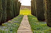 DODDINGTON HALL, LINCOLNSHIRE: CROCUS TOMMASINIANUS, YEW HEDGES, HEDGING, STONE, PATHS, LAWN, CLIPPED, TOPIARY, YEW AVENUE, PYRAMID, GROTTO