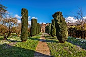 DODDINGTON HALL, LINCOLNSHIRE: CROCUS TOMMASINIANUS, YEW HEDGES, HEDGING, STONE, PATHS, LAWN, CLIPPED, TOPIARY, YEW AVENUE