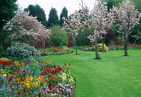 WALLED_GARDEN_WITH_PRUNUS_TREES_IN_BLOSSOM_AND_BORDERS_OF_MIXED_SPRING_BEDDING_MR__MRS_STYLES_GARDEN