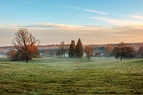 BORDE_HILL_GARDEN_SUSSEX_PARKLAND_ON_A_MISTY_MORNING_IN_MARCH_SPRING_SUNRISE_TREES