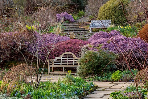 GRAVETYE_MANOR_SUSSEX_STEPS_WOODEN_BENCH_STONE_BENCH_PINK_FLOWERS_OF_HEATHERS_SPRING_MARCH_EVENING_L